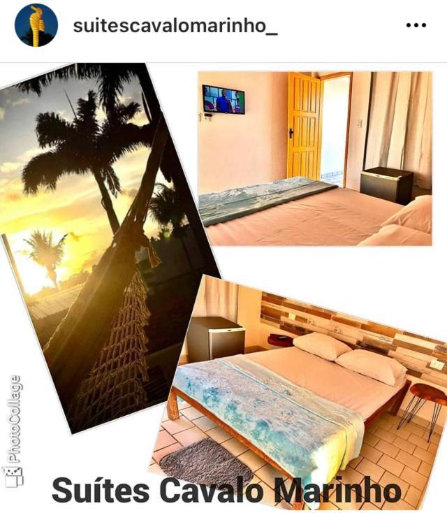 Suites Cavalo Marinho Pôrto das Galinhas 外观 照片